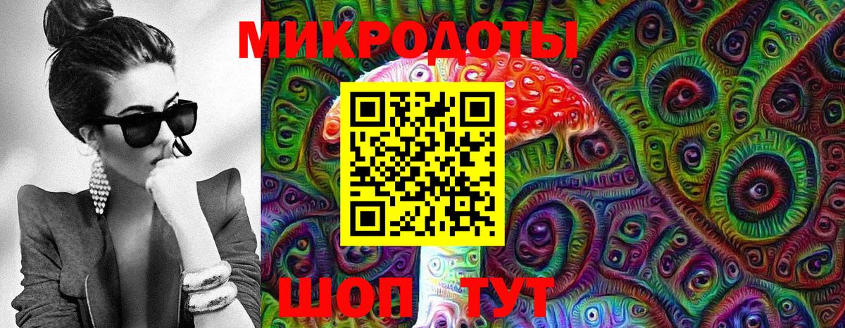 Ярославль  Псилоцибиновые грибы прущие грибы  Вход с VPN 